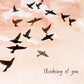 Sunset Sympathy Card - Thinking of You Card - Flock Of Birds