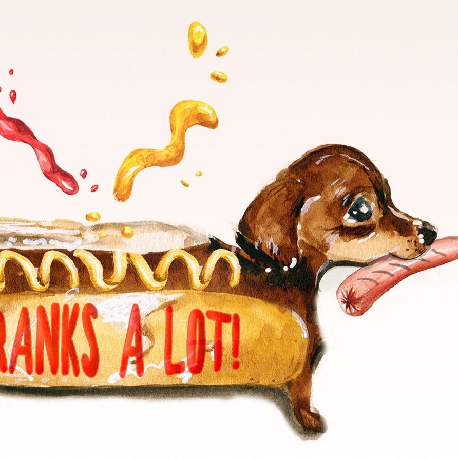 Dachshund Funny Thank You Cards Set - Franks A Lot - Wiener Dog Frank You
