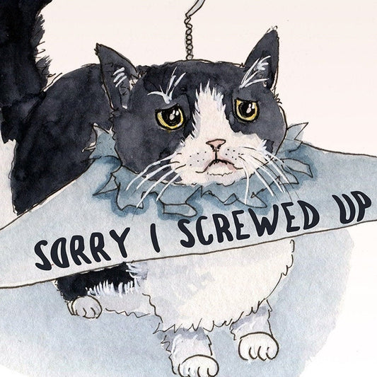 Sorry Card For Girlfriend - Apology Tuxedo Cat - I'm Sorry I Screwed Up