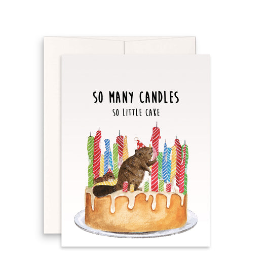 Damn So Many Candles So Little Cake Funny Beaver Birthday Card For Dad, Getting Old Birthday Cards For Best Friend, 40th 50th Birthday Cake