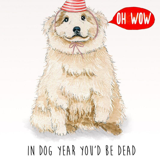 Samoyed Dog Funny 30th Birthday Card In Dog Years You'd Be Dead