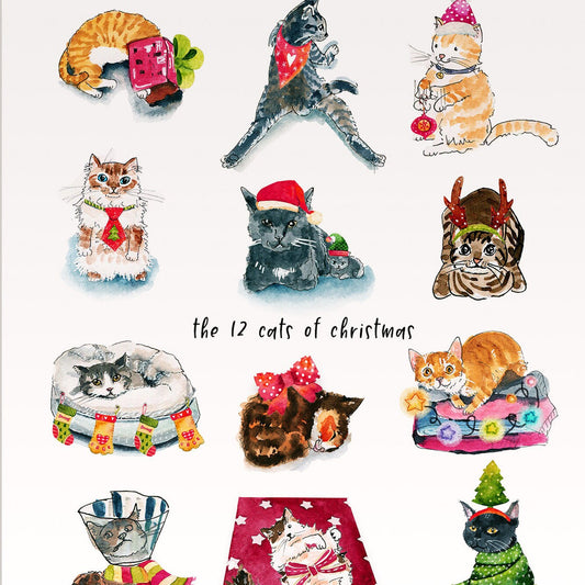 Funny Cat Christmas Cards - 12 Days Of Christmas For Cat Lovers