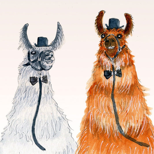 Funny Llama Gay Wedding Card For Groom And Groom, Funny Wedding Cards For Gay Couple