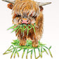 Highland Cow Vegan Birthday Card Funny - Favorite Herbivore Vegetarian Birthday Cards For Best Friend