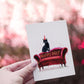 Naughty Black Cat Birthday Cards Funny - Couch Scratch Cats Gift