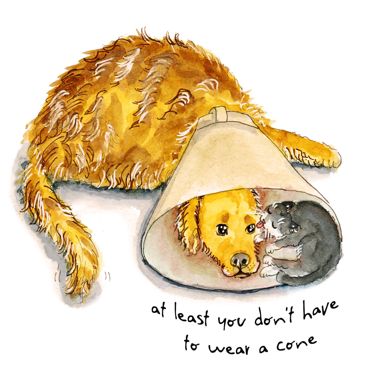 Dog Sympathy Card - Get Well Soon Card For Friends - Golden Retriever Dog And Cat Cone of Shame