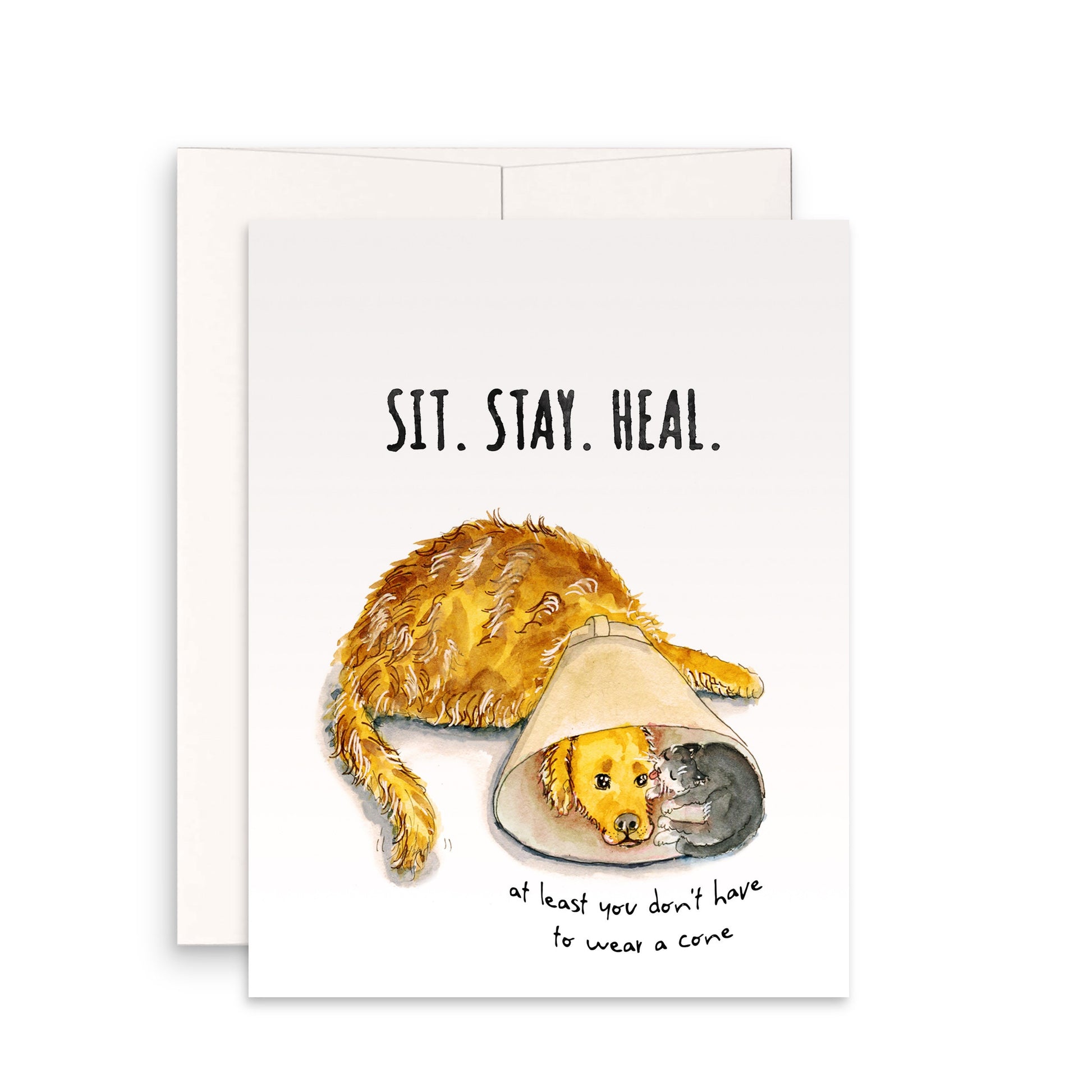 Dog Sympathy Card - Get Well Soon Card For Friends - Golden Retriever Dog And Cat Cone of Shame
