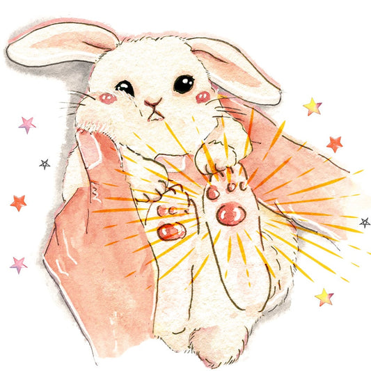 Lucky Bunny Feet Good Luck Cards For Best Friends -Rabbits Foot Lucky Gift - Funny Encouragement Cards