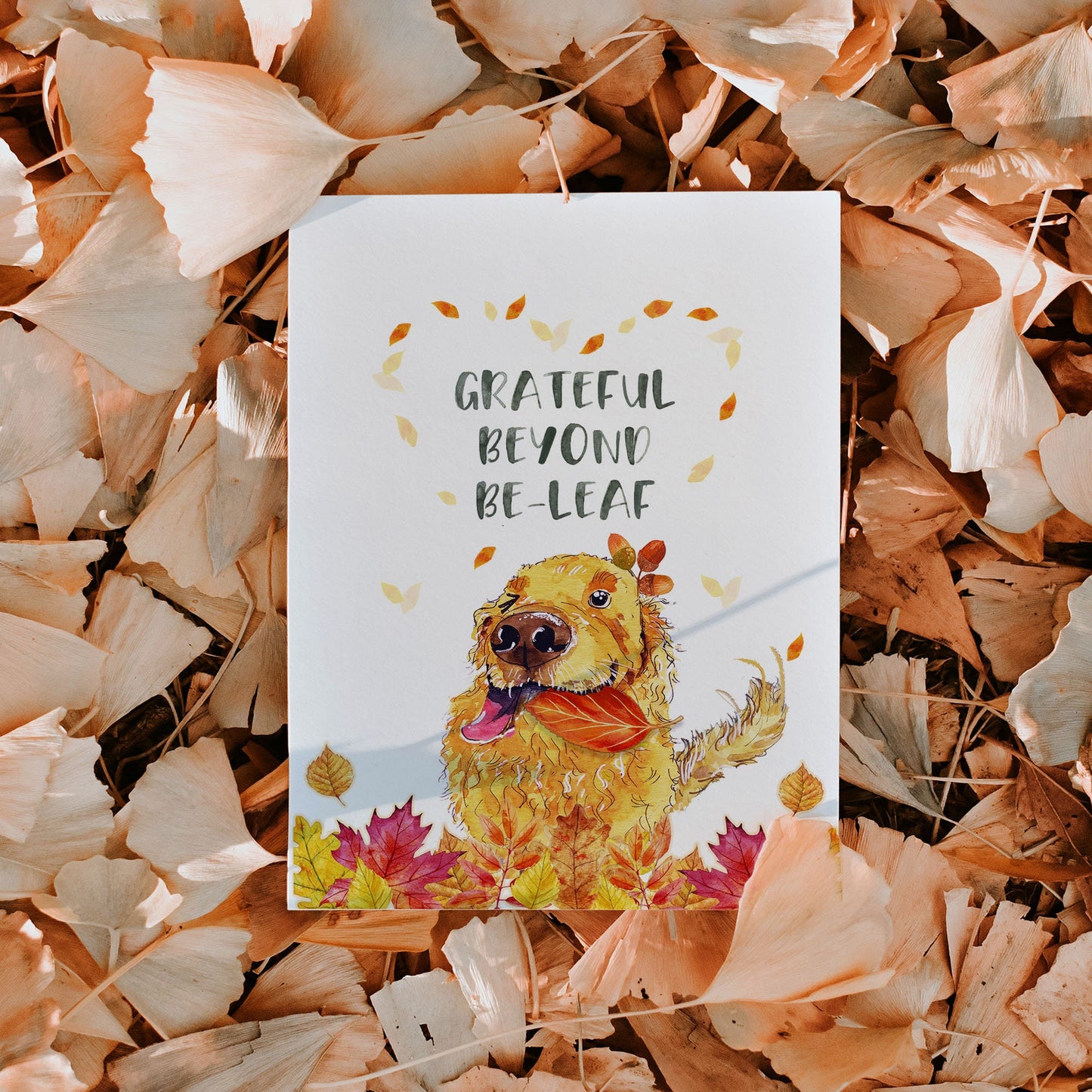 Funny Thanksgiving Cards Pack - Fall Holiday Greeting Cards Set For Friends