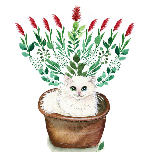 Gardener Cat Menorah Hanukkah Cards Set - Unique Chanukah Art