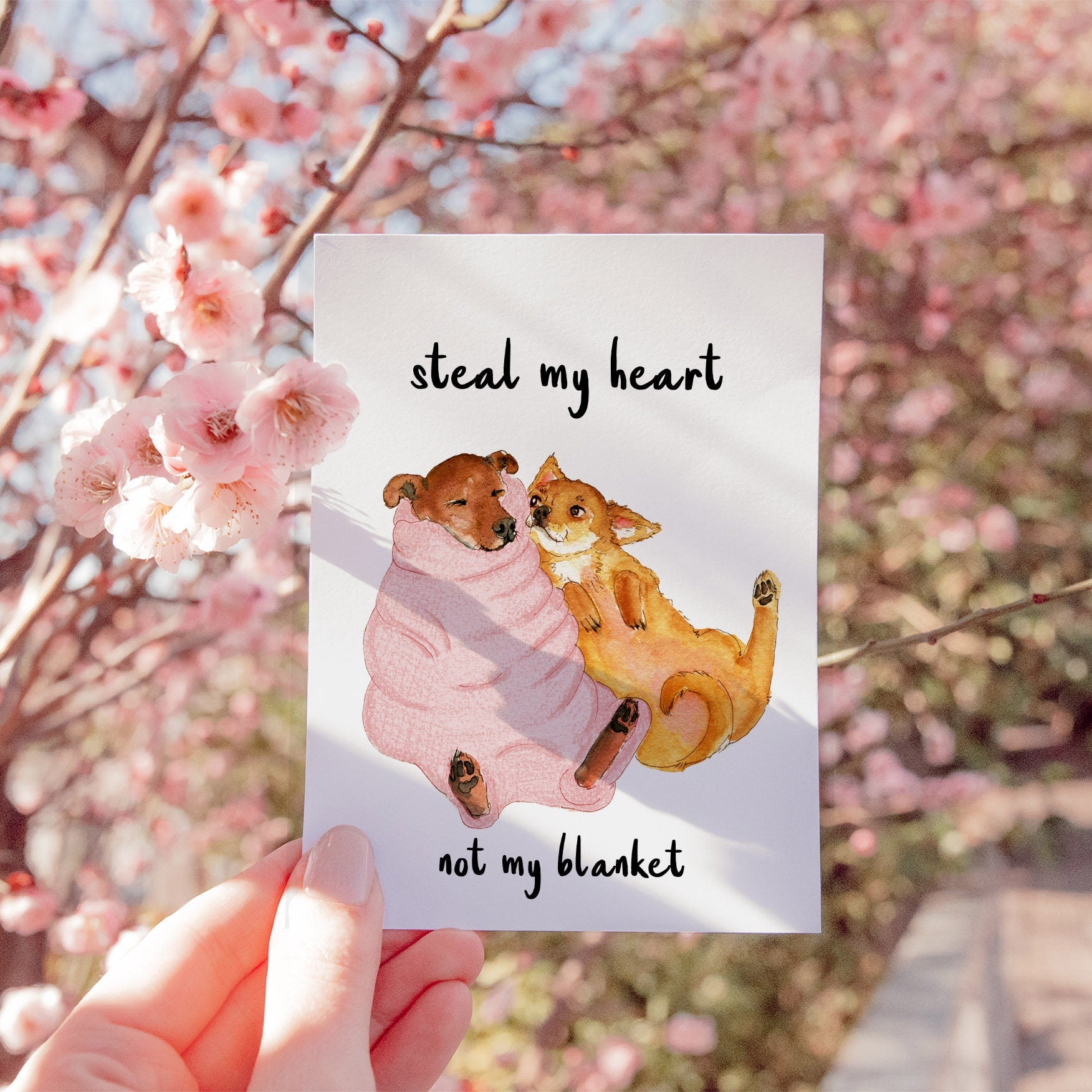 Funny Anniversary Card For Husband - Chihuahua Valentines Card From The Dog - Valentines Gifts For Her