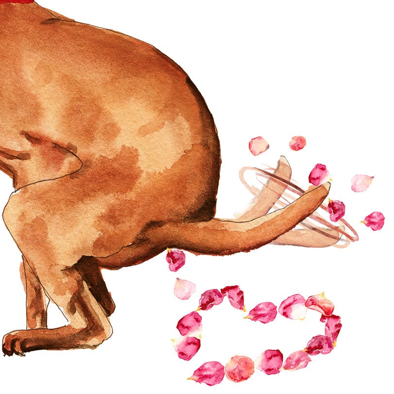 Naughty Lab Dog Valentines Day Card Funny - Squeeze Massive Surprise For Dog Lovers - Anniversary Gifts From The Dog