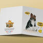 Naughty Cat Easter Cards For Kids - Funny Easter Card For Tuxedo Cats Lovers