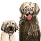 Mud Dog Mother's Day Card Funny - Happy Mother's Day Cards From The Dog - Golden Retriever Dog Mom Gifts