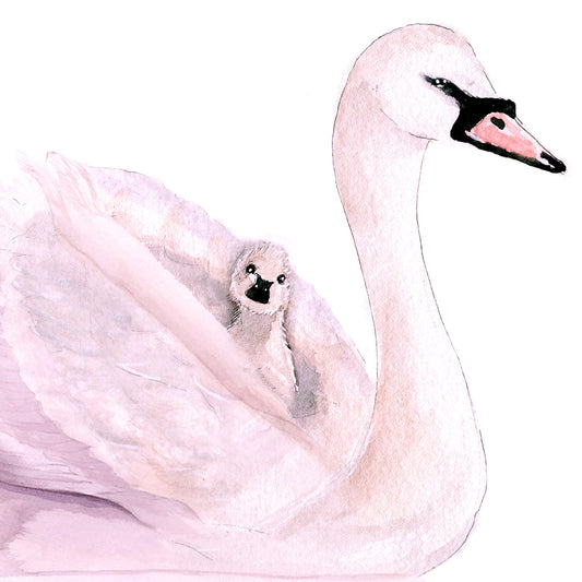 Swan Mom And Baby Mother's Day Card Funny - Home Is Where Mom Is - Birthday Card For Mom From Daughter