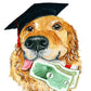 Golden Retriever Dog Graduation Cards Funny - Money Holder Cash Enclosed Card