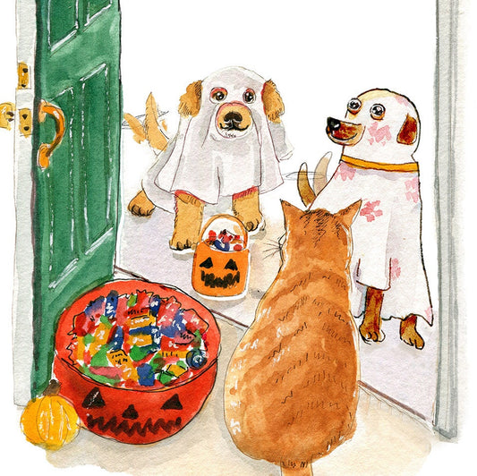 Trick Or Treat Funny Halloween Cards - Happy Halloween Gift From Cat And Dog