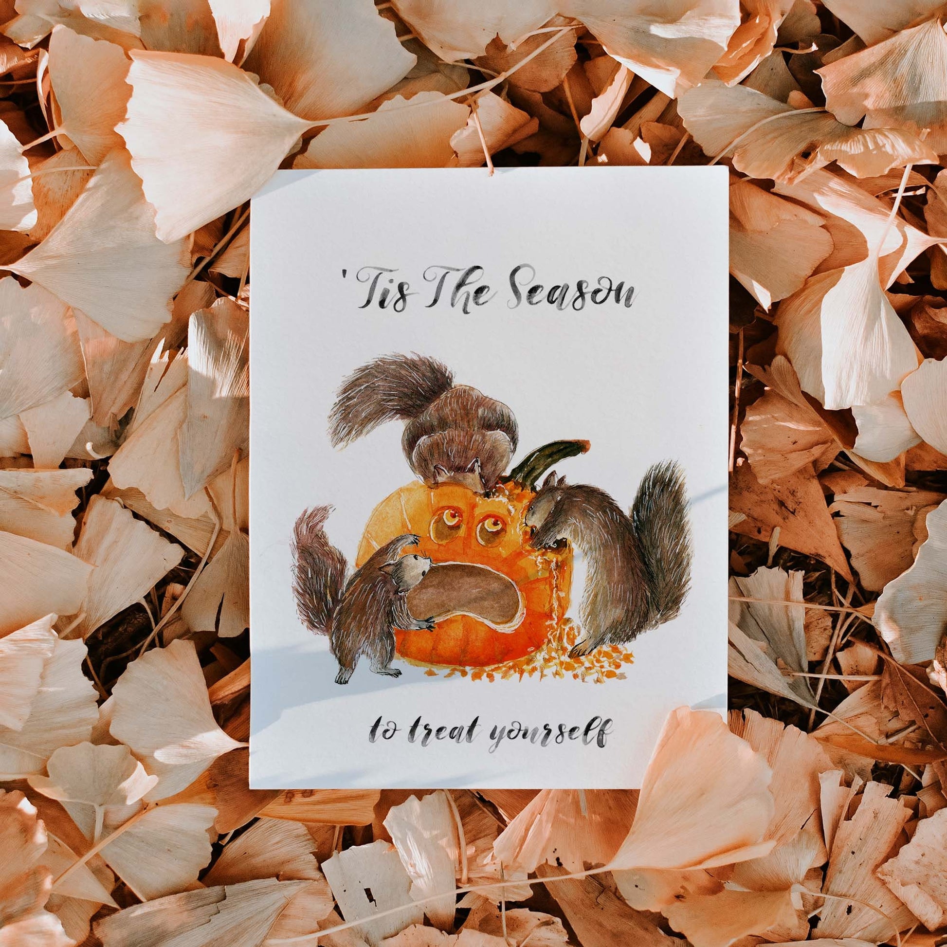 Funny Halloween Cards Squirrels Eating Pumpkin - Tis The Season For Pumpkin Spice - Fall Greetings For Friends