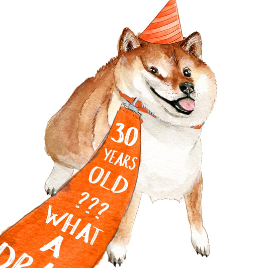 Funny 30th Birthday Card For Best Friend - Shiba Inu Dog Birthday Cards For Men - Cute 30th birthday gift for women