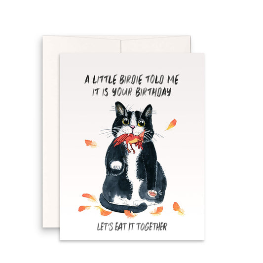 Naughty Black Cat Birthday Cards Funny - Couch Scratch Cats Gift